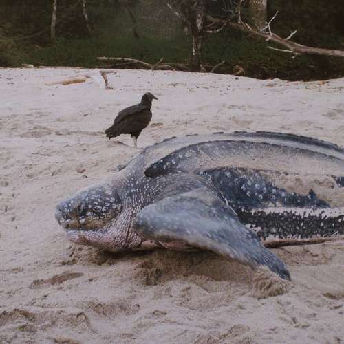 #6607 - Fotos [Gisela Baumsteiger]