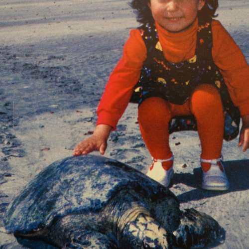 #6621 - Fotos [Jeffery Brown]