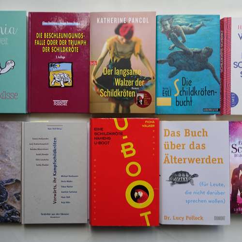 #6636 - Belletristik