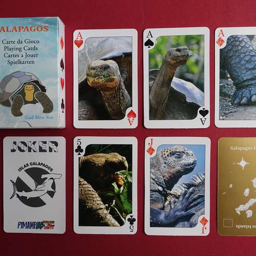 #6744 - Spielzeug [Joanna Reason]