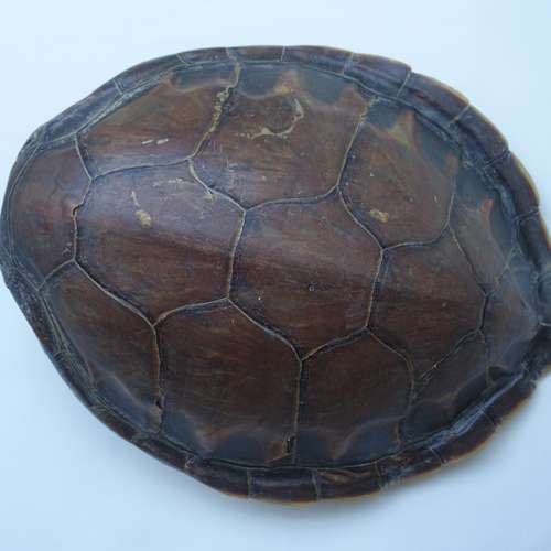 #6896 - Ausstellungsstück