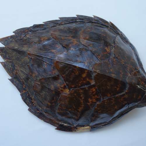 #6898 - Ausstellungsstück