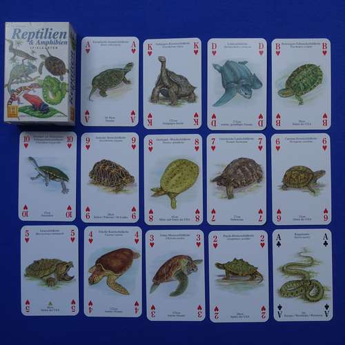 #6906 - Spielzeug [Cecilia Fitzsimons]