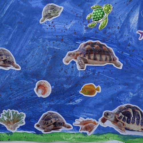 #6964 - Kinderbilder [Sophia ]