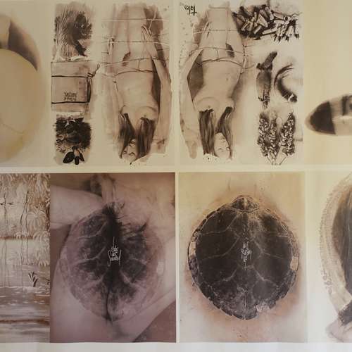 #7017 - Plakate [Fred Stichnoth  (Fotograf)]