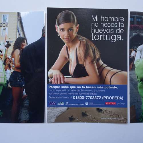 #7035 - Fotos [K. L.]