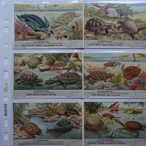 #7212 - Sonstige Papierformen