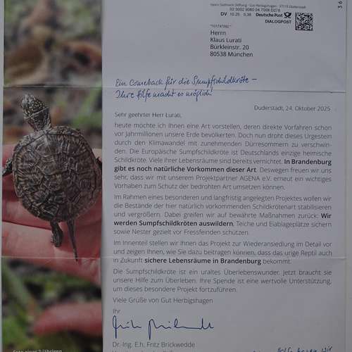 #8747 - Sonstige Papierformen