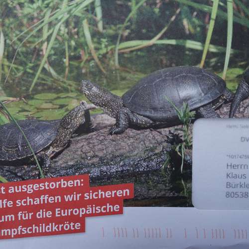 #8746 - Sonstige Papierformen