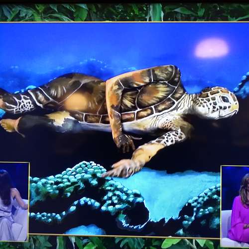 #8220 - Fotos [Johannes Stötter]