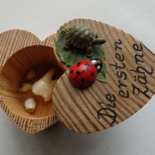 #8231 - Ausstellungsstück