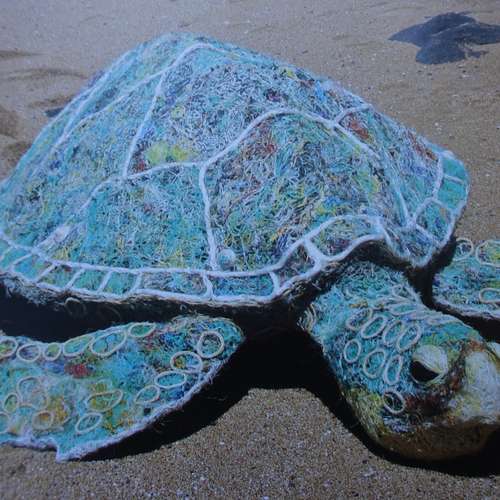 #7703 - Fotos [Géraldine Le Roux]