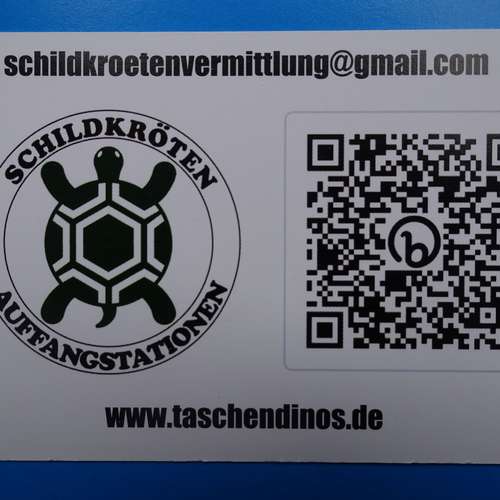 #8250 - Gebrauchsgegenstände