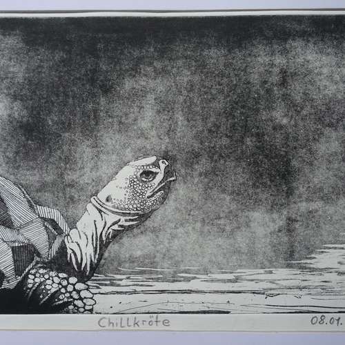 #5075 - Grafik [Matthias Lindner]