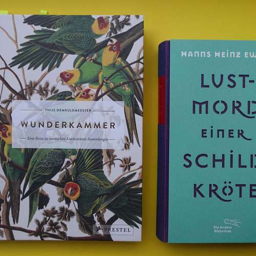 #8252 - Künstlerbücher
