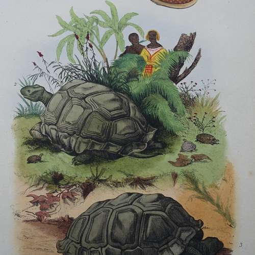 #5081 - Grafik [A. Fries, Paris]