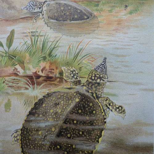 #5083 - Grafik [P.J. Smit]