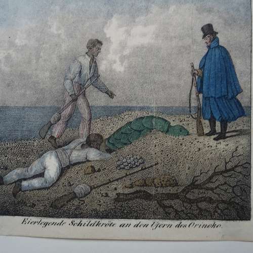 #5096 - Grafik [Friedrich W. Goedsche]