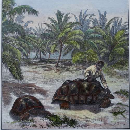 #5097 - Grafik [J. Tarlton]