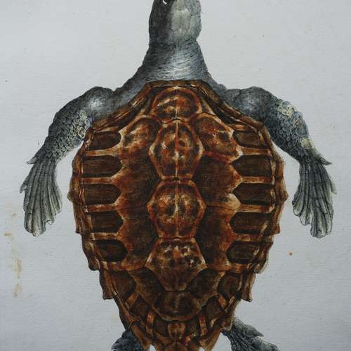 #5098 - Grafik [J.D. Meyer]