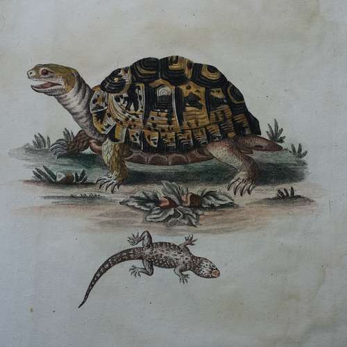 #5100 - Grafik [Johann Sebastian Leitner (1715 - 1795)]