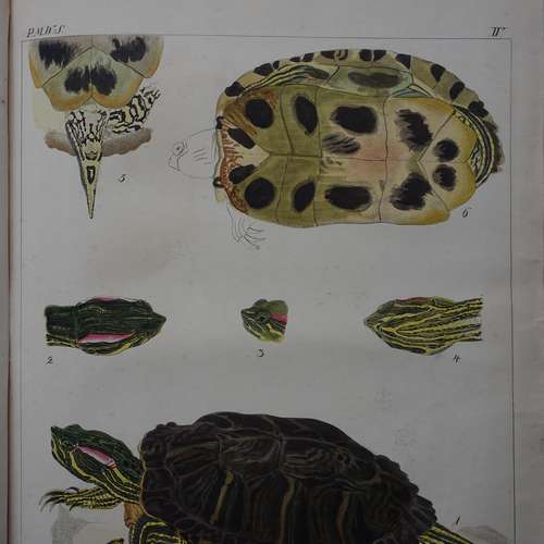 #5105 - Grafik [Karl Bodmer (1809 -1893)]