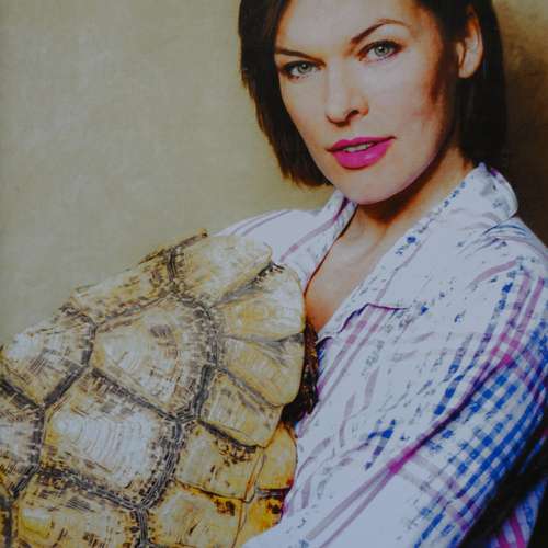 #7295 - Fotos [Michael Müller]