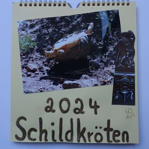 #7770 - Fotos [Elke Wallrapp]