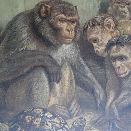 #5256 - Grafik [Samuel John Carter (1835 - 1892)]