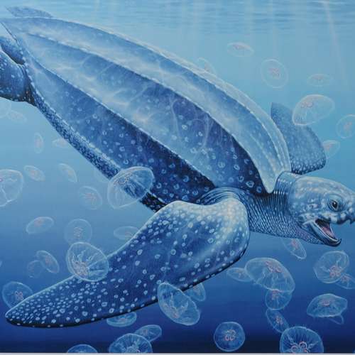 #5225 - Malerei [Tell Hicks]