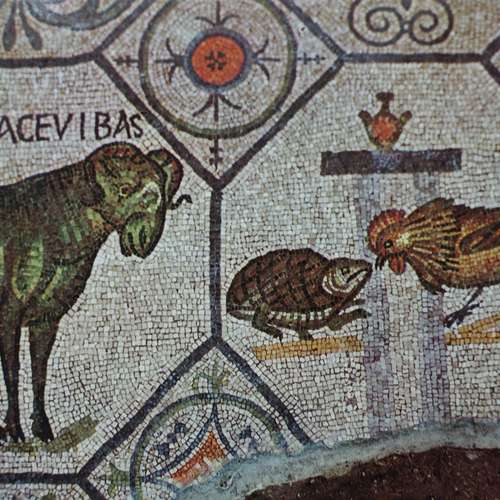 #7828 - Fotos [Guiseppe Ghedina]