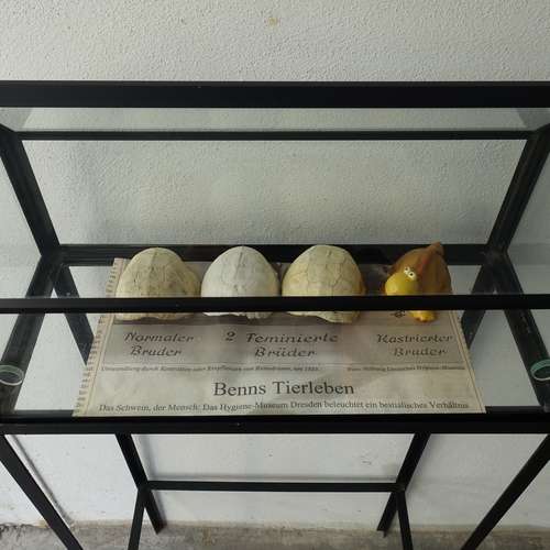 #5647 - Skulpturen [Prof. Marlies Poss]