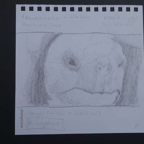 #5652 - Zeichnungen [Annette Braune]