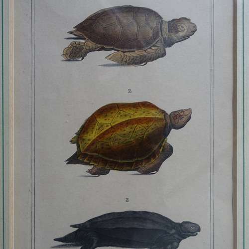 #5644 - Grafik [I. Frault]