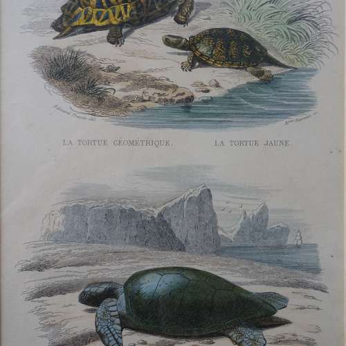 #5645 - Grafik [M. Fournier]