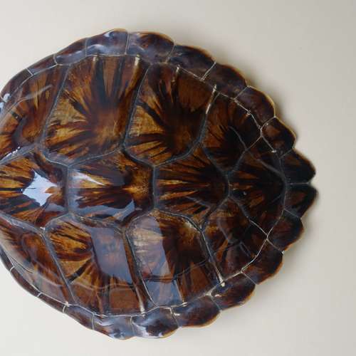 #5614 - Ausstellungsstück