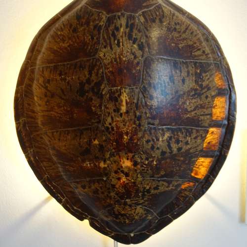 #5616 - Ausstellungsstück