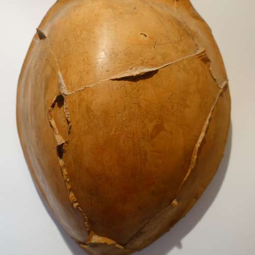 #5620 - Skulpturen [Duk Su Yun]