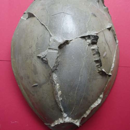 #5621 - Skulpturen [Duk Su Yun]