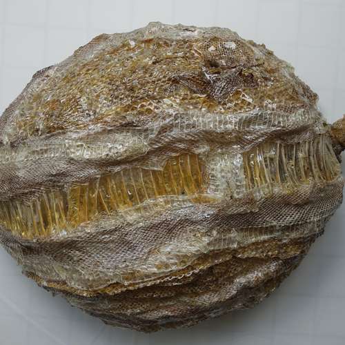 #5511 - Skulpturen [Prof. Marlies Poss]