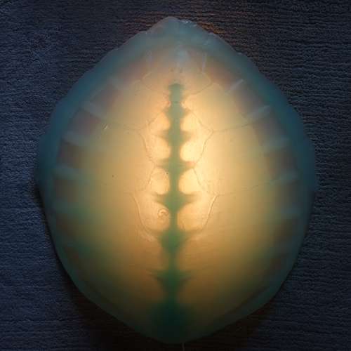 #5514 - Skulpturen [Sigi Bußinger]