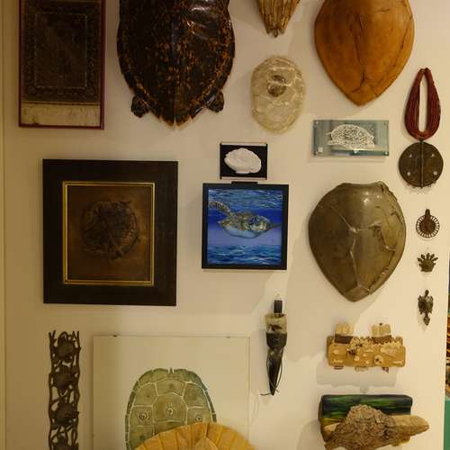 #8565 - Fotos [K. L.]