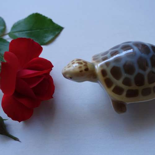 #7444 - Ausstellungsstück