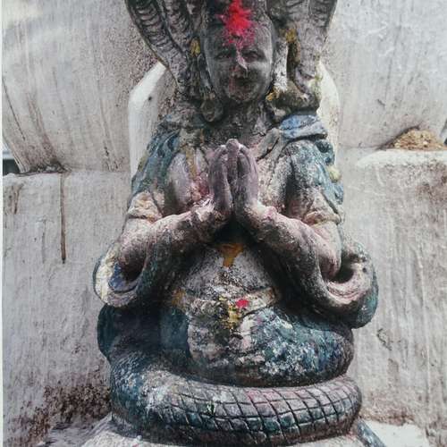 #7452 - Fotos [Susanne Urban]