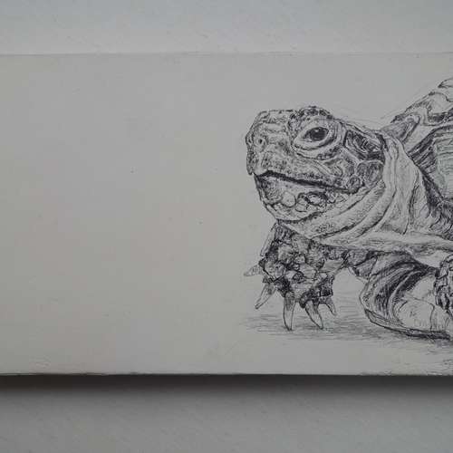 #7458 - Zeichnungen [Annette Standl]