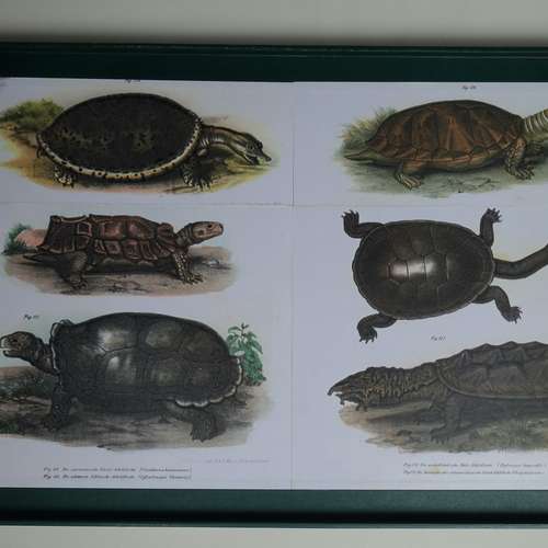 #5976 - Gebrauchsgegenstände [Karin Traxler]