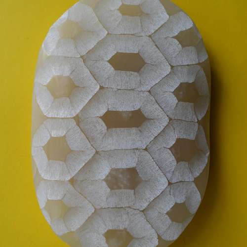 #7499 - Skulpturen [Maria Rucker]