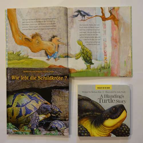 #7937 - Kinderbücher