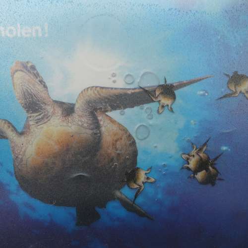 #7944 - Gebrauchsgegenstände