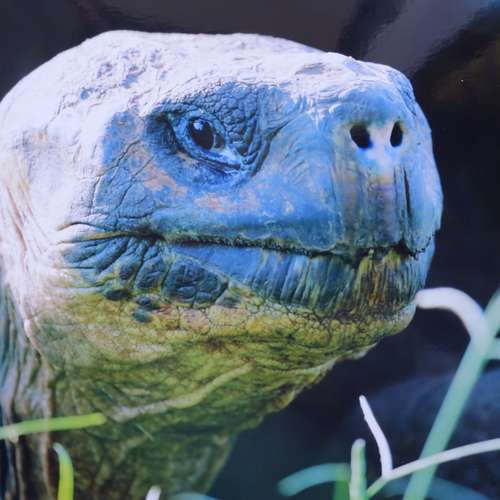 #7952 - Fotos [Frank Müller]